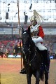 Cavalry - 00218